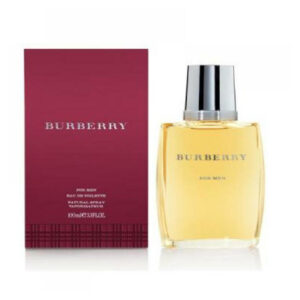 Burberry for Man Toaletní voda 100ml